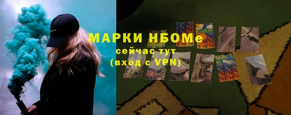 дживик Богородицк