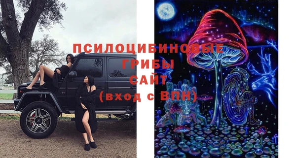 метамфетамин Белокуриха