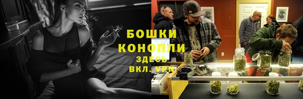 гашик Богородск