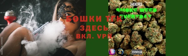 гашик Богородск