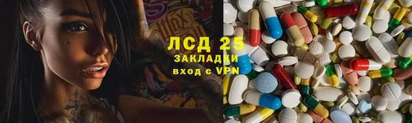 гашик Богданович