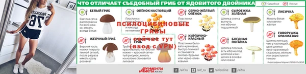 гашик Богданович
