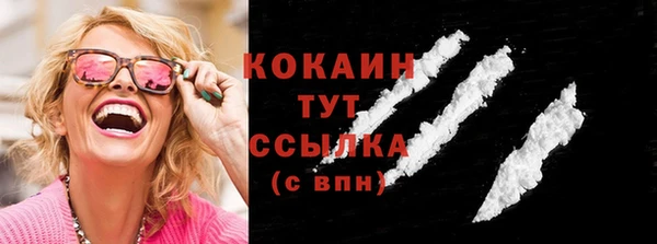 дживик Богородицк