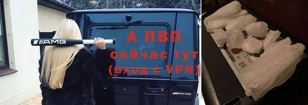 гашик Богородск