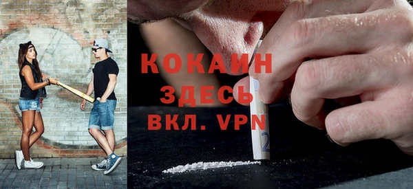 дживик Богородицк